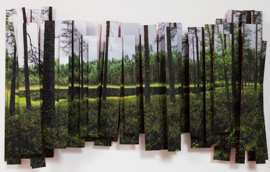 Affiche de l'exposition Promenade, le paysage était joli, on s'est perdu du 20 septembre au 26 octobre 2025