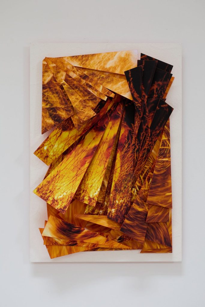 Philippe Einari Tapissier (A cœur ouvert, 2026, photographie découpée, h. 52 x 37 cm)